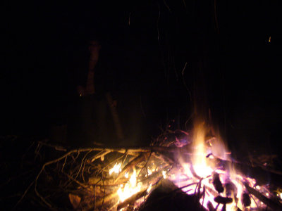 P1040424.jpg
