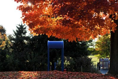 DSC_9038.jpg
