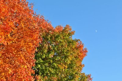 DSC_9073.jpg