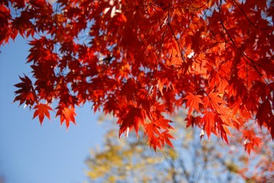 DSC_0142.jpg