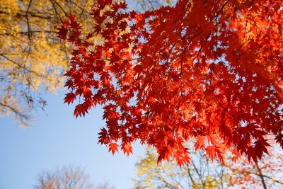 DSC_0147.jpg