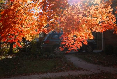 DSC_0178.jpg