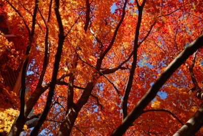 DSC_0180.jpg