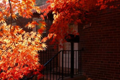 DSC_0211.jpg