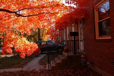 DSC_0214.jpg
