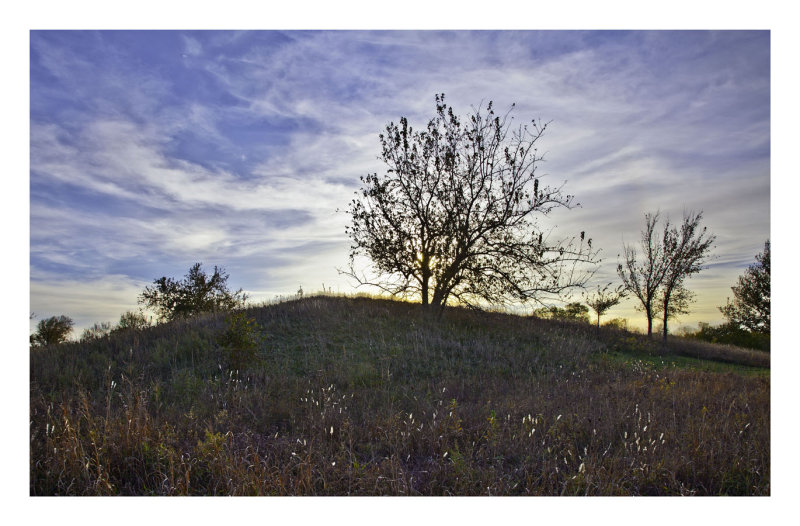 Hilltop 