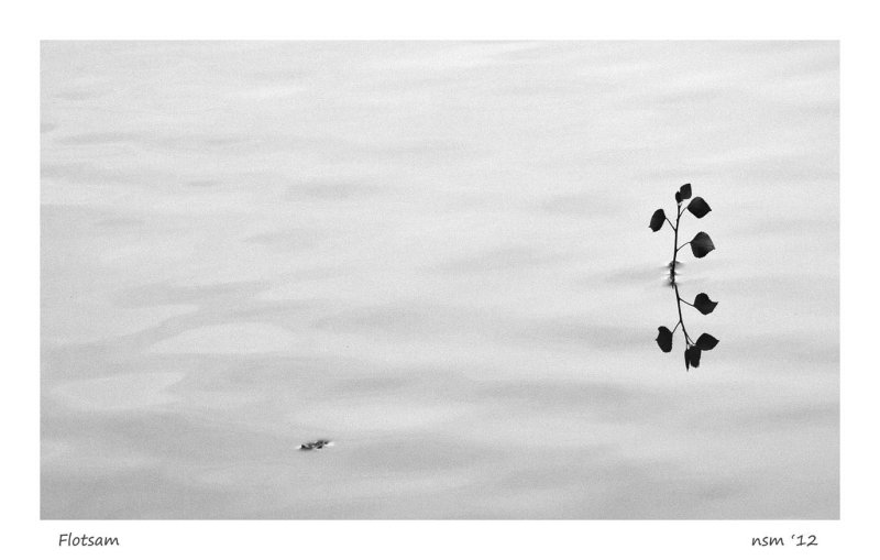 Flotsam