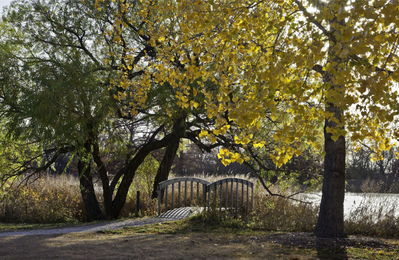 Foot  bridge