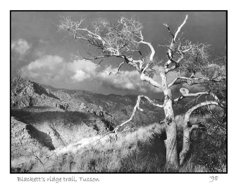Blacketts Ridge trail