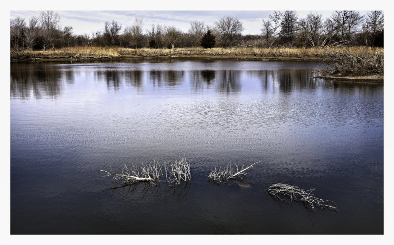 Beautiful winter day