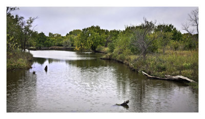 Pond,  Great Plains Nature Center