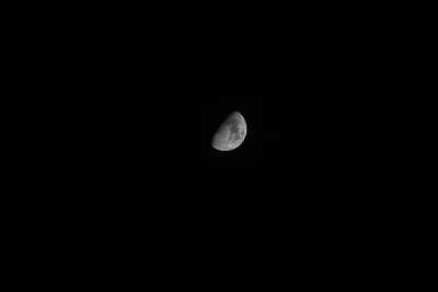 Nov. 21 2012 Moon Shots-002.jpg