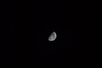 Nov. 21 2012 Moon Shots-012.jpg