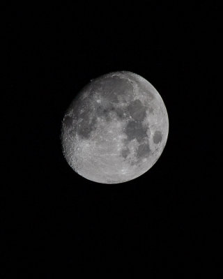 Nov 24 2012 Moon Shots-003.jpg