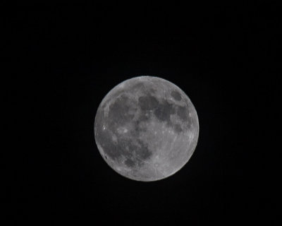 Full Moon Shots, Nov 27 2012