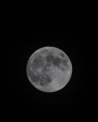 Nov 27 2012 Full Moon Shots-003.jpg