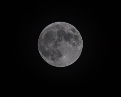 Nov 27 2012 Full Moon Shots-017.jpg