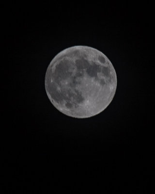 Full Moon Shots, Nov 27 2012