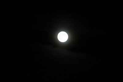 Nov 27 2012 Full Moon Shots-008.jpg