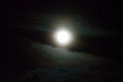 Nov 27 2012 Full Moon Shots-009.jpg