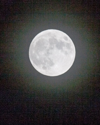 Nov 27 2012 Full Moon Shots-018.jpg