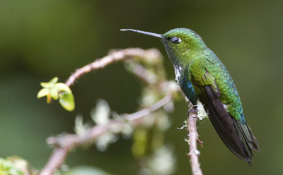 g2/11/782811/3/149227565.riMu0YTj.jpg