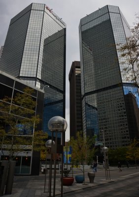 800_5196.jpg