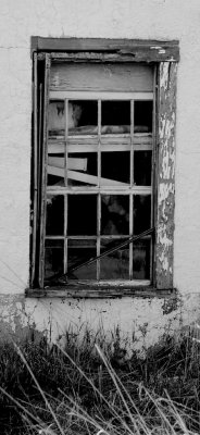 800_1432.jpg