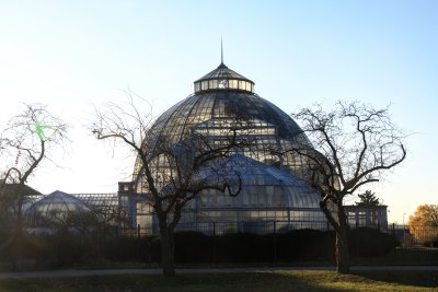 Conservatory Belle Isle Detroit Michigan (25).jpg