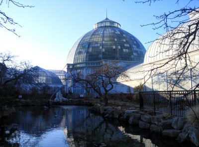 Conservatory Belle Isle Detroit Michigan (45).jpg