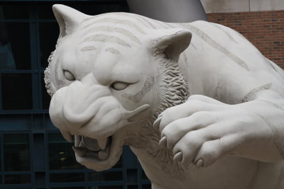 Outside Comerica Park, Downtown Detroit, Michigan (5).JPG