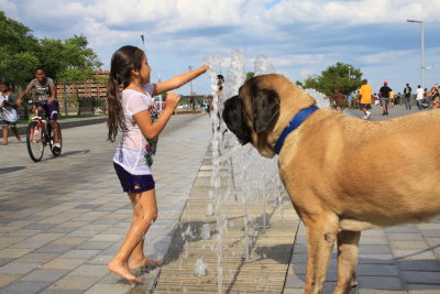 Water Foun_gan 3.JPG