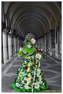 Carnaval  de  Venise  2013