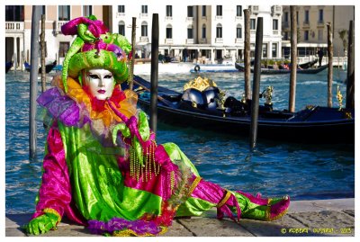 Carnaval  de  Venise  2013