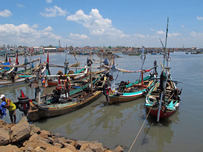 Fishing boats, Muncar