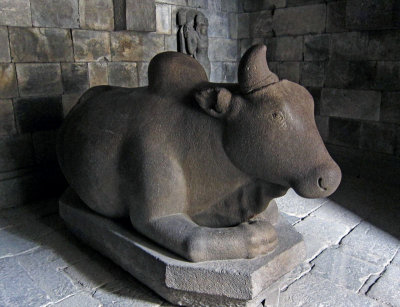 Nandi