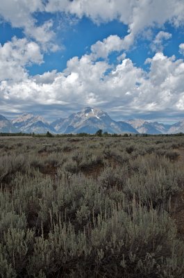 Tetons across the sagebrush