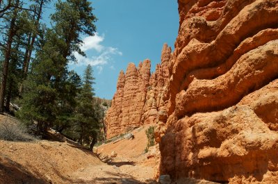 Hoodoos in Red Canyon