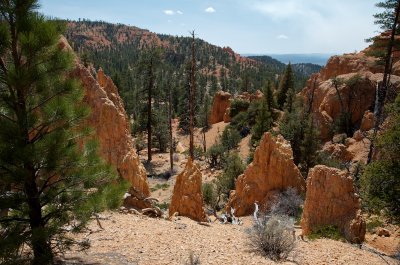 Red Canyon Trail