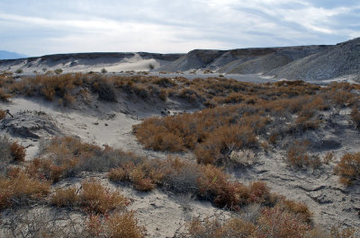 Salt Creek Dunes