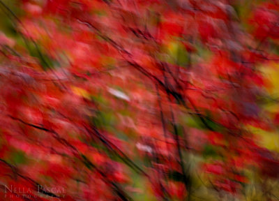 October blur