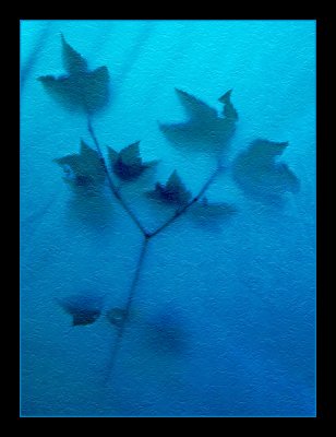 Through a tent wall