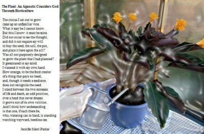 Poem20Title-20-The20Plant-20An20Agnostic20Considers20God20Through20Horticulture---Cat.jpg
