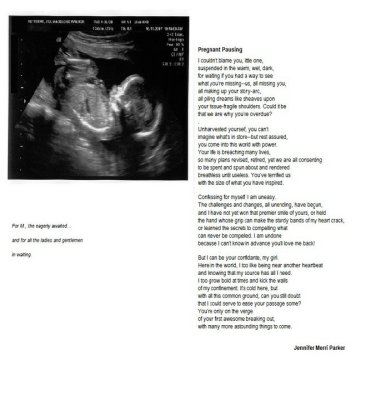 Poem20Title-20-Pregnant20Pausing---Category-20free20verse--Jennifer20Merri20Parker-001.jpg