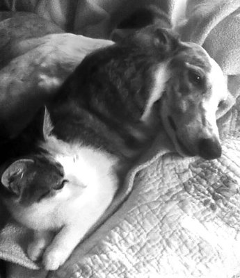 Best Friends 3/13/13