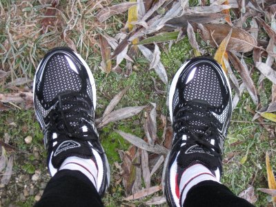 New running shoes.jpg