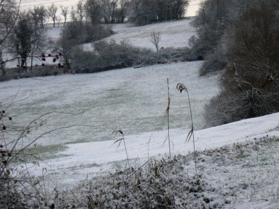 Spot the sheep.jpg