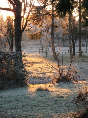 Sun coming through.jpg