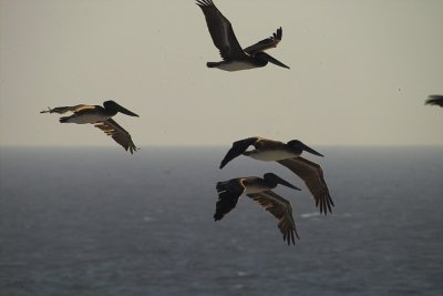 IMG23956.jpg