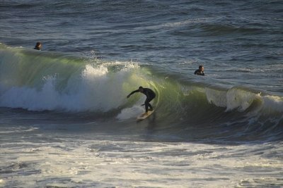 IMG23982.jpg